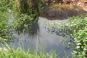 Xả nước thải gây ô nhiễm cho người dân