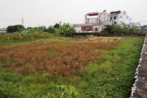 Đơn thư kéo dài vì vi phạm trong quản lý đất