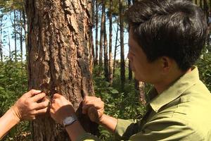 Nhiều tập thể, cá nhân nhận hình thức kỷ luật