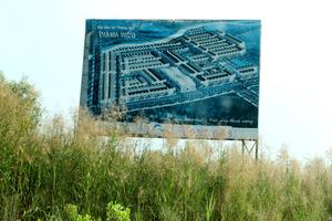 Cỏ mọc thành “rừng”, lác đác vài căn nhà