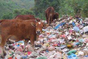  Đóng cửa bãi rác dốc Búng  