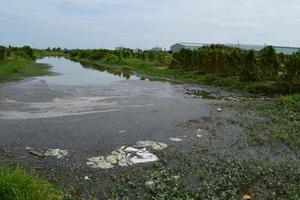 Nhà máy xử lý nước thải gây ô nhiễm môi trường nghiêm trọng