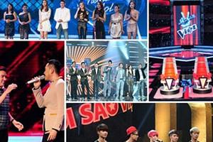 Truyền hình thực tế Việt 2014: Càng nhiều, càng nhạt