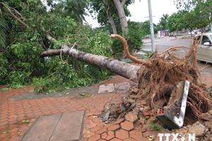 Có thể xuất hiện bão hoặc áp thấp trên Biển Đông trong tháng 12