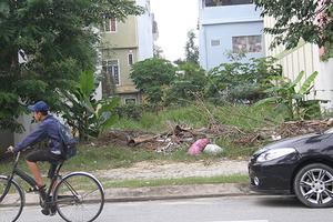 ​Đà Nẵng: Chồng duyệt cấp đất cho vợ