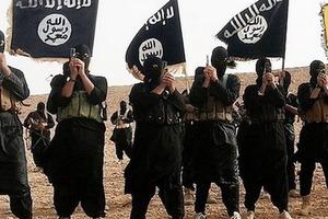 20 tay súng Australia tham chiến cùng IS bỏ mạng tại Syria, Iraq