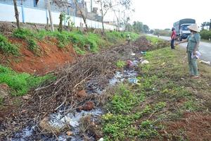 Cty MDF Long Việt gây ô nhiễm nghiêm trọng