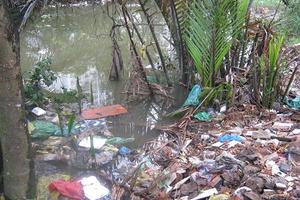 Báo động chất lượng nước vùng ven