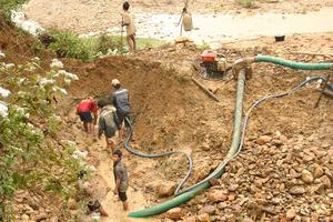 Kỳ I: Vàng tặc công khai phá rừng