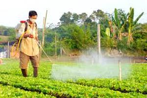 Khả năng làm sạch thực phẩm của ozone
