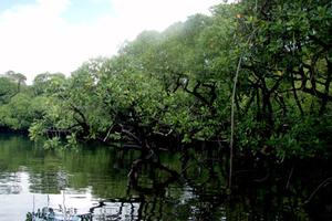 10 sự kiện năm 2014 của ngành Tài nguyên và Môi trường