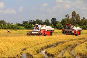 Tiếp tục khẳng định vai trò chủ lực trong đầu tư cho “tam nông”