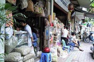 Hà Nội: Khôi phục không gian phố nghề thuốc Lãn Ông