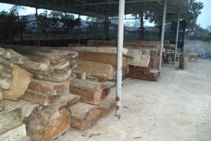 Bắt giữ hơn 1 nghìn vụ vi phạm lâm luật
