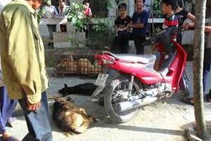Cẩu tặc tấn công người dân quyết liệt khi bị truy đuổi