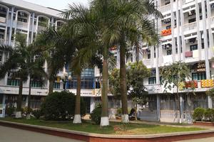 88 trường đại học chưa công khai chất lượng đào tạo