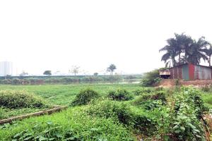 Khu đất dịch vụ và hơn 52 tỷ đồng đầu tư giờ ở đâu?