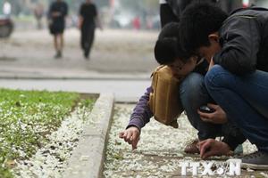 Đông Bắc Bộ mưa rét vẫn tiếp diễn những ngày đầu tuần