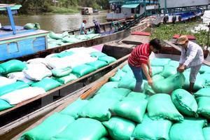 Thành lập đoàn kiểm tra liên ngành việc thu mua tạm trữ lúa, gạo