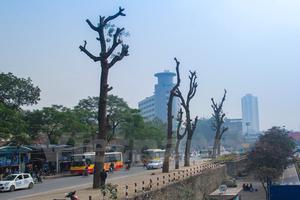 Chặt 6.700 cây xanh: Hà Nội có thể sẽ lâm vào cảnh ô nhiễm nặng
