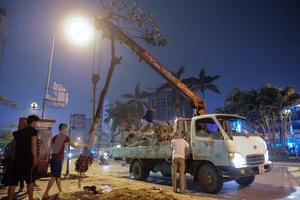 Đình chỉ công tác hàng loạt cán bộ liên quan vụ chặt cây xanh ở Hà Nội
