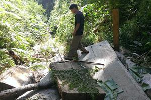 Tan hoang rừng Đắk Ang