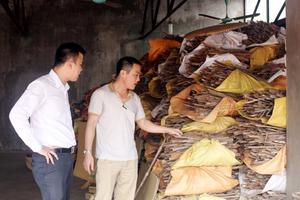 Chuyện làm giàu từ vốn vay ở Gia Lâm 