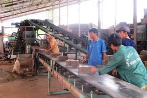 Cty Huy Toản cần nghiêm túc thực hiện kết luận thanh tra