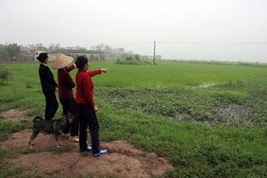 Nhiều sai phạm trong công tác dồn điền, đổi thửa 