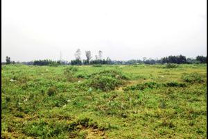 Chính quyền và doanh nghiệp cùng sai