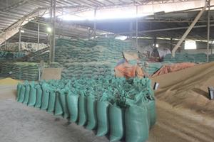Thức ăn chăn nuôi “nuôi” gần 50 lao động