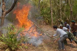 Cháy rừng liên tiếp ở Cao Bằng vì người dân đốt vàng mã