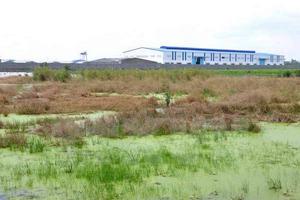 Hà Nội: Nan giải "trả nợ" người dân bị thu hồi đất nông nghiệp