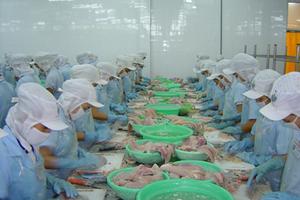 Nhiều “đại gia” ăn gian BHXH