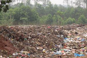 Bức xúc vì bãi rác gây ô nhiễm