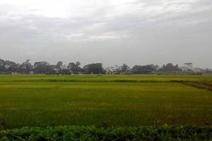 Lật tẩy đường dây quan xã “ăn” đất