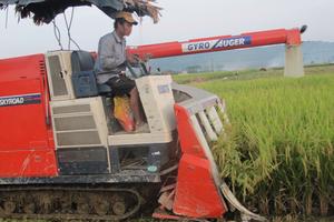 Xây dựng thương hiệu gạo quốc gia