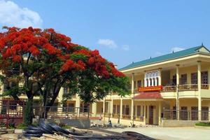 Trường Tiểu học Mộc Lỵ thu, chi trái quy định