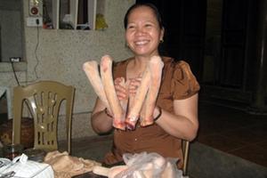 Góp phần phát triển mô hình kinh tế nông nghiệp hiệu quả cao
