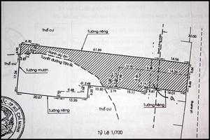 Chính quyền quận Thủ Đức thừa nhận cấp sai