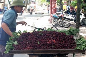 Thanh mai: Quả lạ loạn giá, loạn xuất xứ