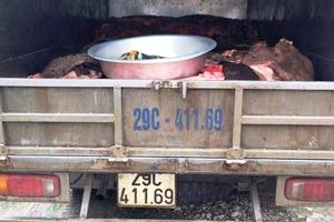 Hà Nội: Cảnh sát giao thông bắt giữ xe tải chở 1 tấn da trâu bò