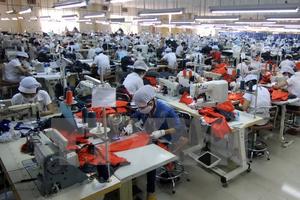 “Dung túng cho hàng giả là phá hoại thương hiệu quốc gia"