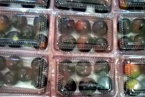Cà chua đen 140 ngàn/kg, chờ cả năm mới được mua
