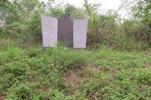 Vì sao D.A tôn tạo cứ điểm Him Lam chậm tiến độ?