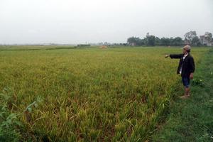 Điểm mặt hàng loạt vi phạm của “quan” xã