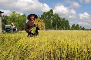 Cơ hội cho nông sản Việt Nam