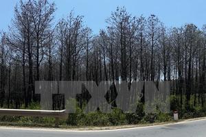 Nắng nóng xuất hiện trên khắp ba miền, có nơi trên 39 độ C