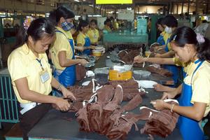Đẩy mạnh thanh tra xử lý doanh nghiệp chây ỳ đóng BHXH