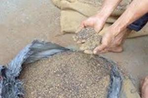 Khởi tố lãnh đạo Trường Ngân vụ “7 ngân hàng tranh chấp kho càphê”
